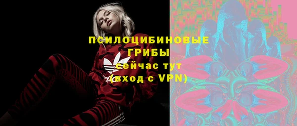 бошки Костерёво