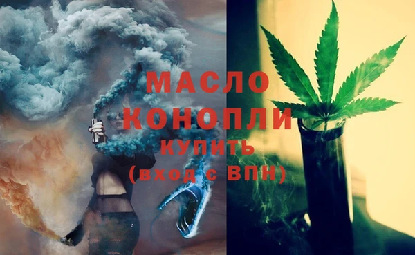 сатива Кулебаки