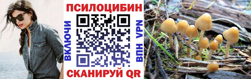 Купить закладки  Заинск  Галлюциногенные грибы Cubensis 