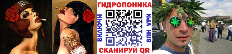 Купить закладки  Заинск  Бошки Шишки SATIVA & INDICA 